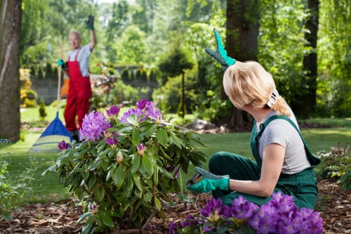 Safe use of garden tools and equipment