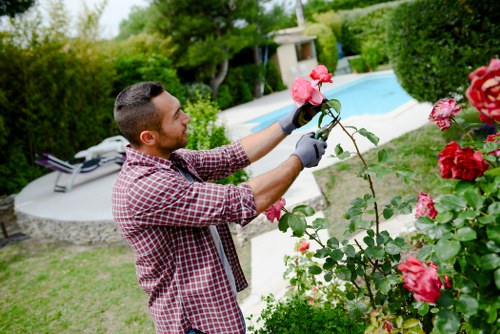 Assessment of a gardening service issue