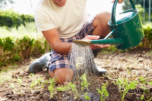 Low-carbon van used by Sydenham gardeners