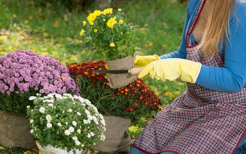 Gardeners working in a Sydenham garden during seasonal maintenance