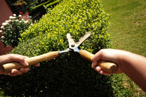 Updated cookie policy notice for a gardening service website