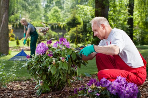 Professional landscape gardening in Sydenham with layered planting and paving