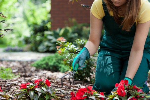 Front garden landscaping and planting in Sydenham