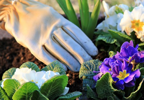 Gardeners Sydenham pricing overview for maintenance and waste removal