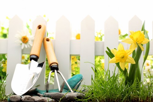 Professional garden care improving a Sydenham outdoor space