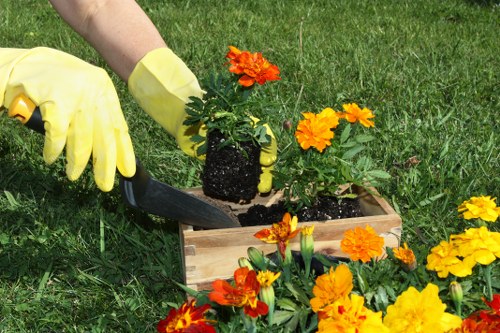 Final stage of a gardening complaint procedure
