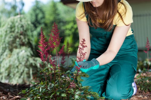 Sydenham gardening service improving a residential outdoor space