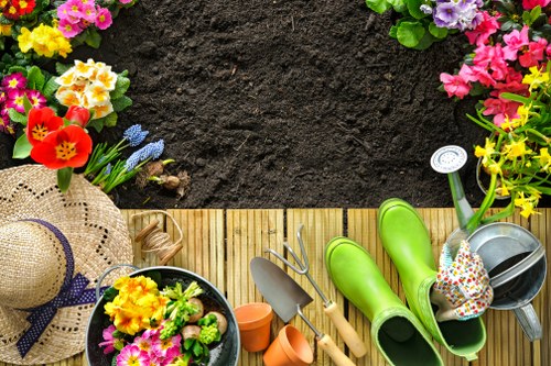 Well-kept Sydenham backyard after regular garden maintenance