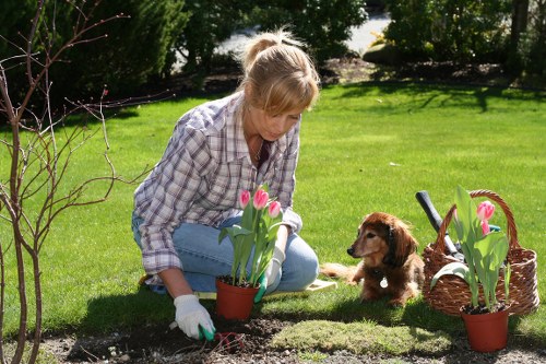 Clearing weeds and branches from a Sydenham garden
