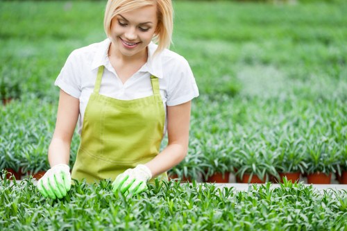 Marketing cookies overview for a Sydenham gardening website