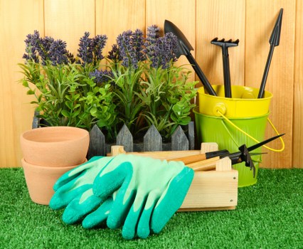 Removal of garden waste and debris in Sydenham