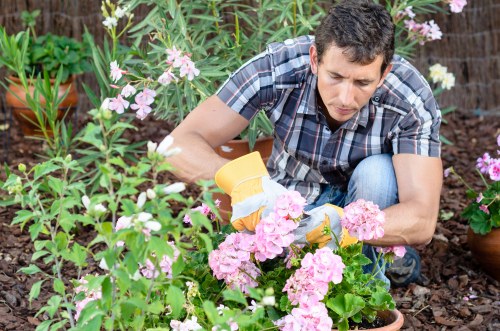 Low-maintenance landscaping in Sydenham for a family outdoor space