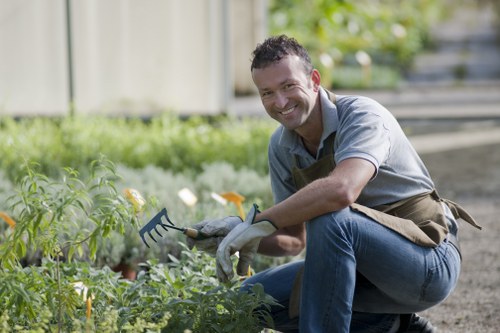 Professional garden clearance for a tidy outdoor space in Sydenham